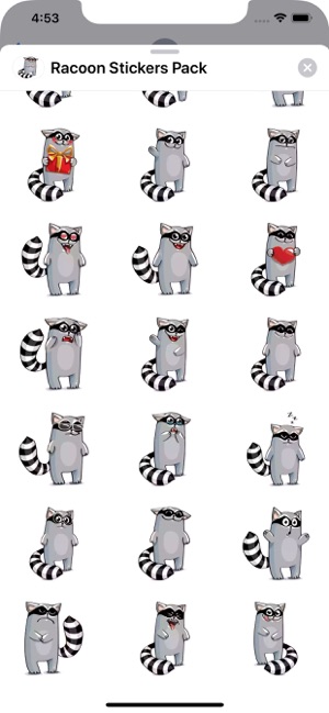 Racoon Stickers Pack(圖2)-速報App