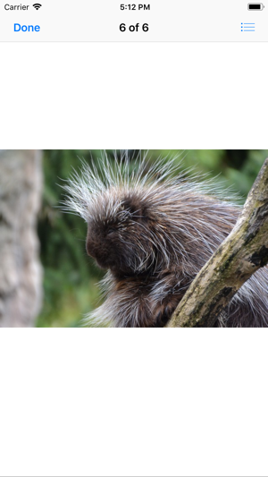 Porcupines(圖7)-速報App