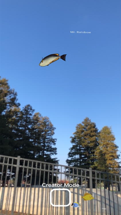 Magic Fish AR screenshot-5
