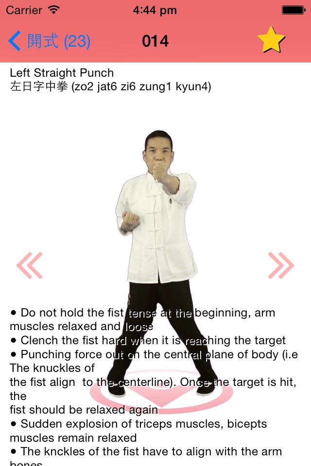 Wing Chun Siu Nim Tau Form screenshot 3