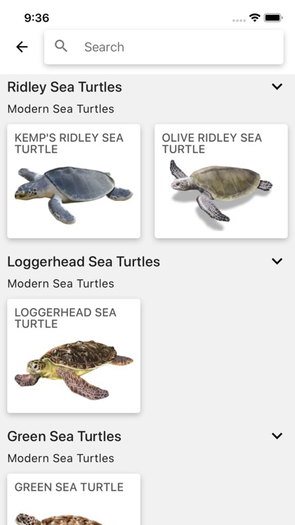 Reptiles & Amphibians of NA