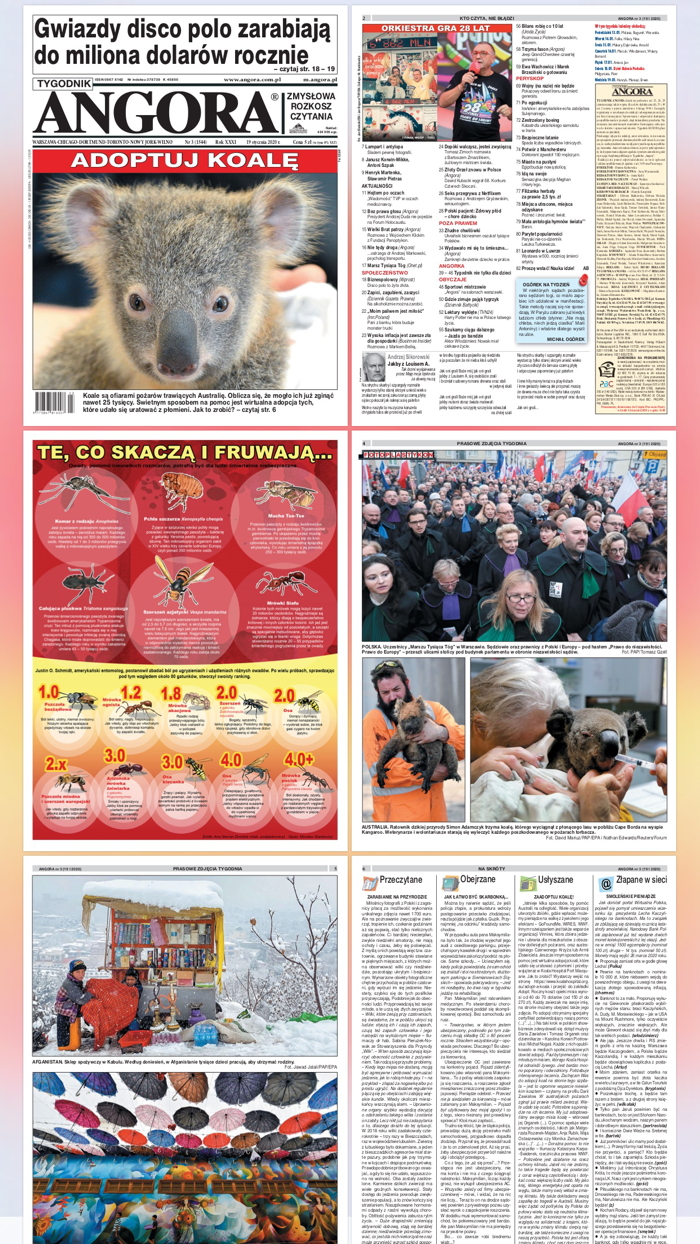 Tygodnik ANGORA