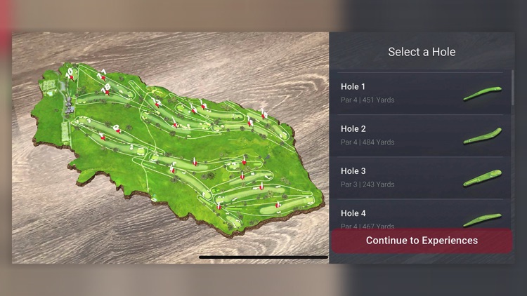 U.S. Open AR