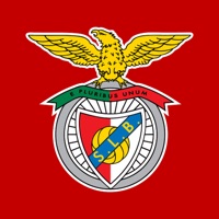 Benfica Official App app not working? crashes or has problems?