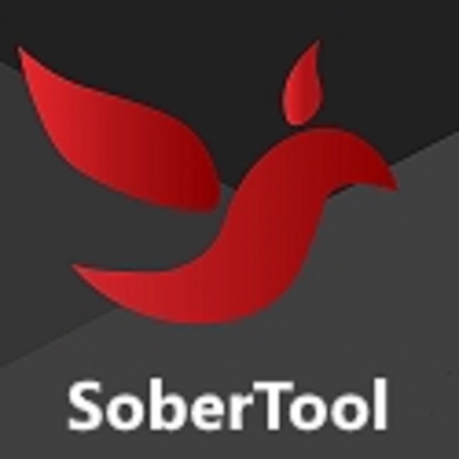 SoberTool - Addiction Recovery Icon