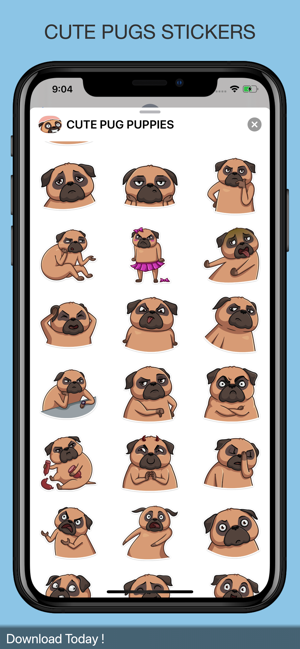 CUTE PUG PUPPIES(圖4)-速報App