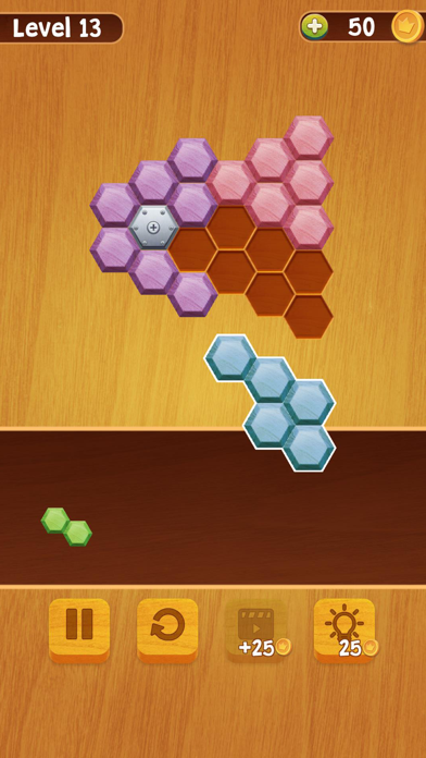 Block Puzzle Hexa Wood screenshot 2
