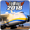 FlyWings 2018 Flight Simulator - Thetis Consulting