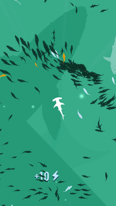 Shoal of fish screenshot1