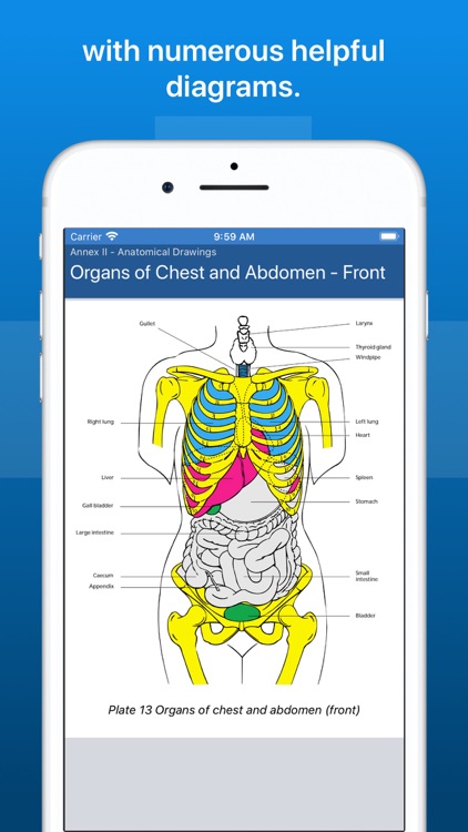 Ship Captain's Medical Guide screenshot-9