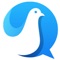 Welcome the worlds first pigeon messenger where your messages are brought to you by lovely birds