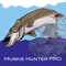 This is an application designed specifically for Muskie fishing, to maximize the experience for any angler from beginner to expert