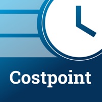  Costpoint Time and Expense Alternatives