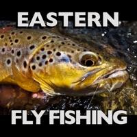 Eastern Fly Fishing ne fonctionne pas? problème ou bug?