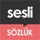 Sesli Sozluk Dictionary