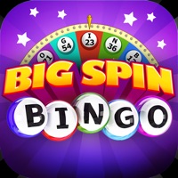 Big Spin Bingo app not working? crashes or has problems?