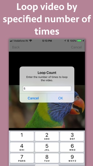 Video Looper Pro(圖4)-速報App