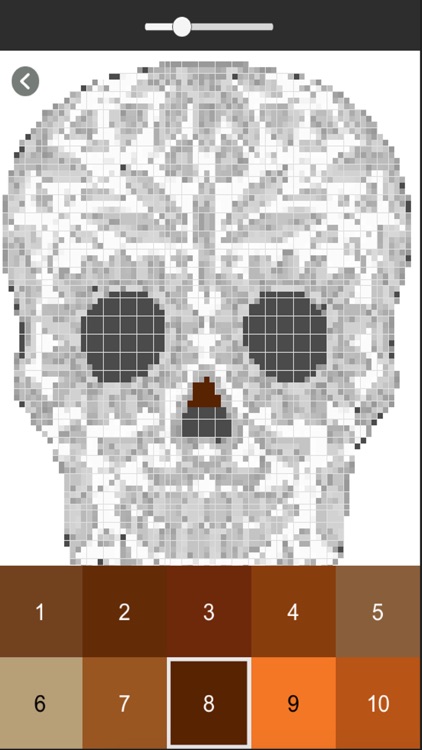 Skull Pixel Coloring Art