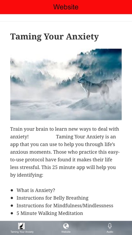 Taming Your Anxiety