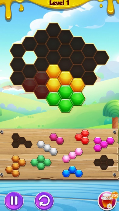 Hive Puzzle 2018 screenshot1