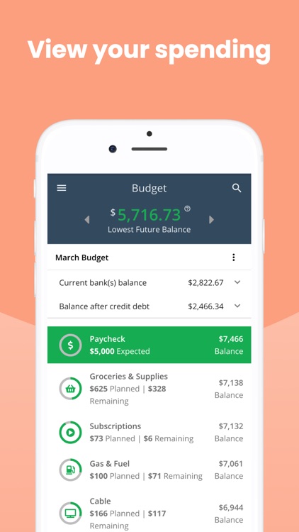 CannyPig Budgeting screenshot-3