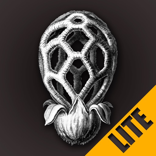 iFunch Lite - Mushrooms Icon