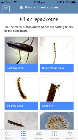 F Macroinvertebrates iPhone(圖2)-速報App