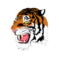 Mobridge-Pollack Schools, SD