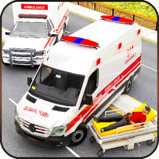 AmbulanceEmergencySimulation