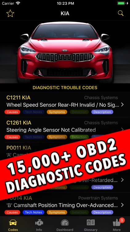 Diagnostic for KIA