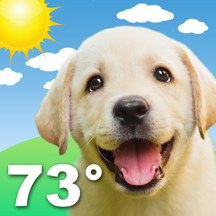 Weather Puppy: Forecast + Dogs