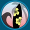 Hawaii Surf Reports provides accurate current daily surf wave heights for approximately 250 surf spots and locations around the islands and much more
