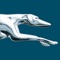 With the Greyhound app, everything about your trip is at your fingertips