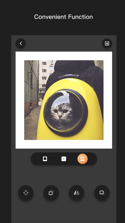BKGD - photo background frame