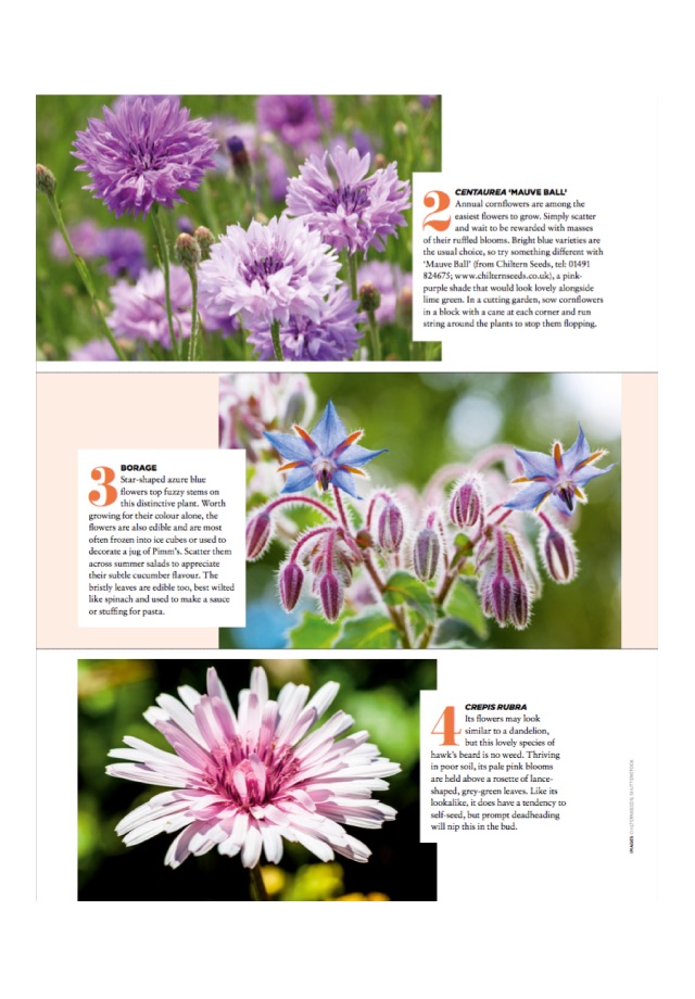 The English Garden Magazine screenshot 2