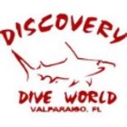 Discovery Dive World