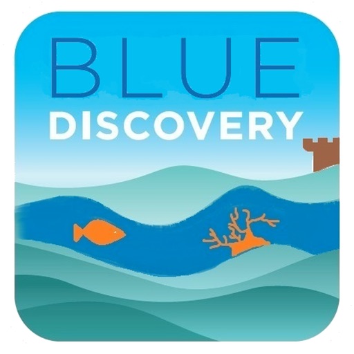 BlueDiscovery