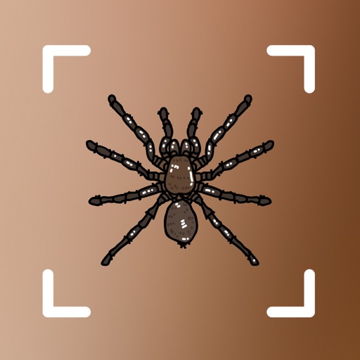 Spideridentifier