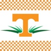 UT Field Day