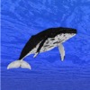 クジラ育成 - iPadアプリ