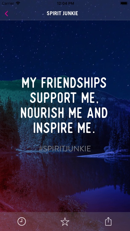 Spirit Junkie