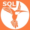 SQL Recipes - iPadアプリ