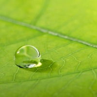 Relaxation : la respiration pour PC