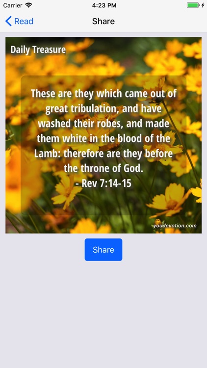 Treasures from God's Word screenshot-3