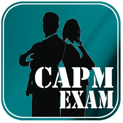 CAPM EXAM Читы