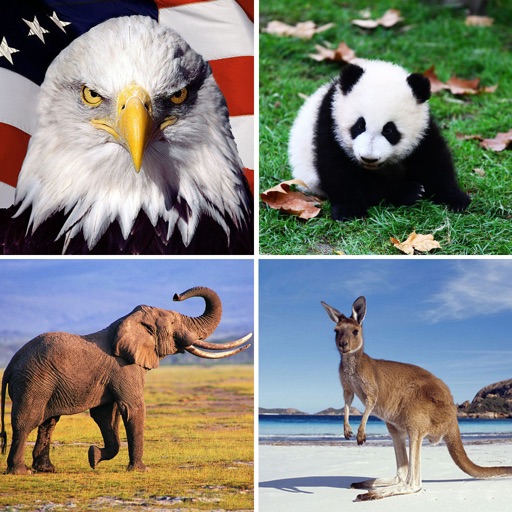 Guess The Animal:Quiz Game iOS App