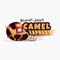 CAMEL EXPRES offers you a multi-platform mobile application that serves the entire retail landscape including vendor from Grocery retail, Meat, Barbeque and Deli, Fresh fruit and Vegetable, cosmetics and beauty, home ware, stationary, florists, pharmacy, gift stores and restaurants