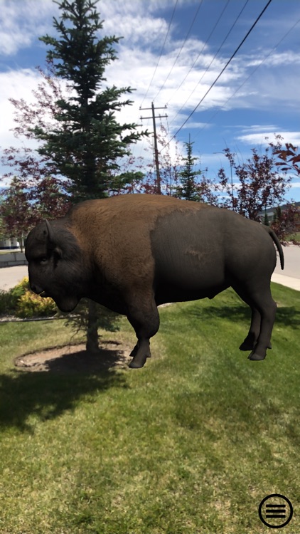 FC Explore screenshot-8