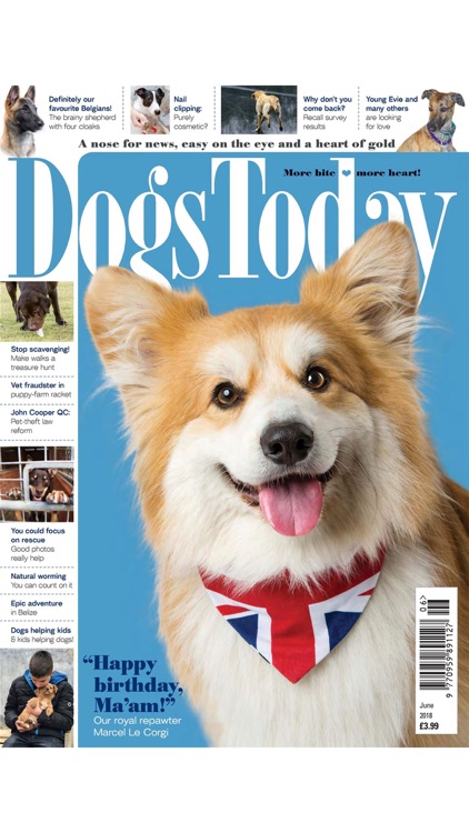 Dogs Today Magazine