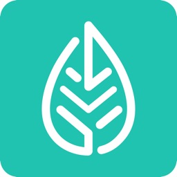 Treedex